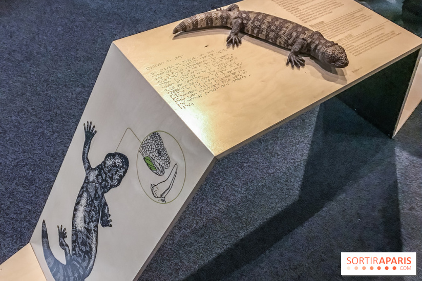 Poison au Palais de la Découverte, les photos 