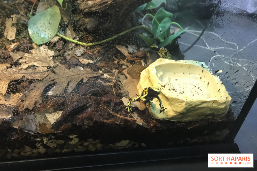 Poison au Palais de la Découverte, les photos 