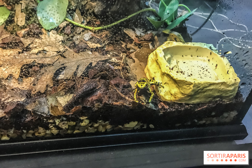 Poison au Palais de la Découverte, les photos 