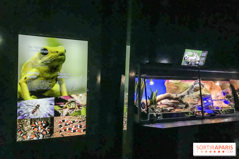 Poison au Palais de la Découverte, les photos 