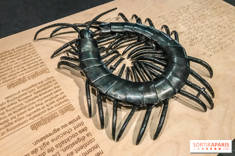 Poison au Palais de la Découverte, les photos 