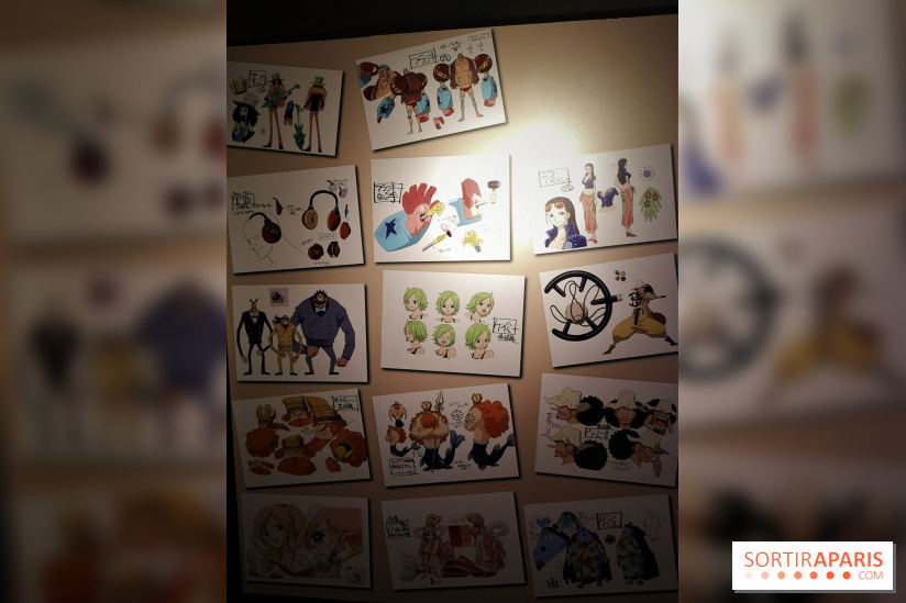 One piece à l'Aquarium de Paris 2018, les photos 