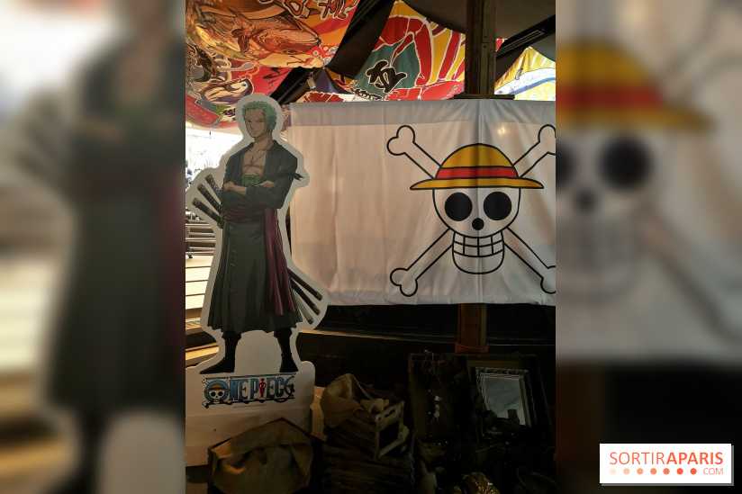 One piece à l'Aquarium de Paris 2018, les photos 