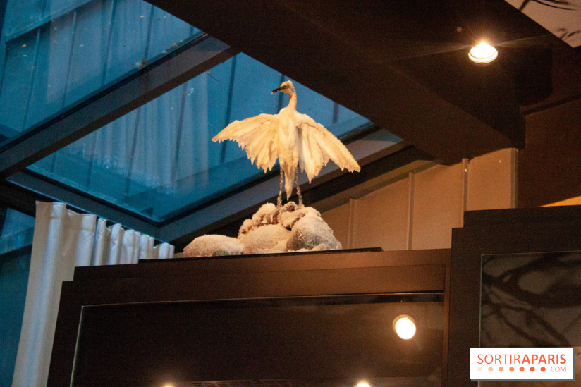 Reality Check au Cinq Codet