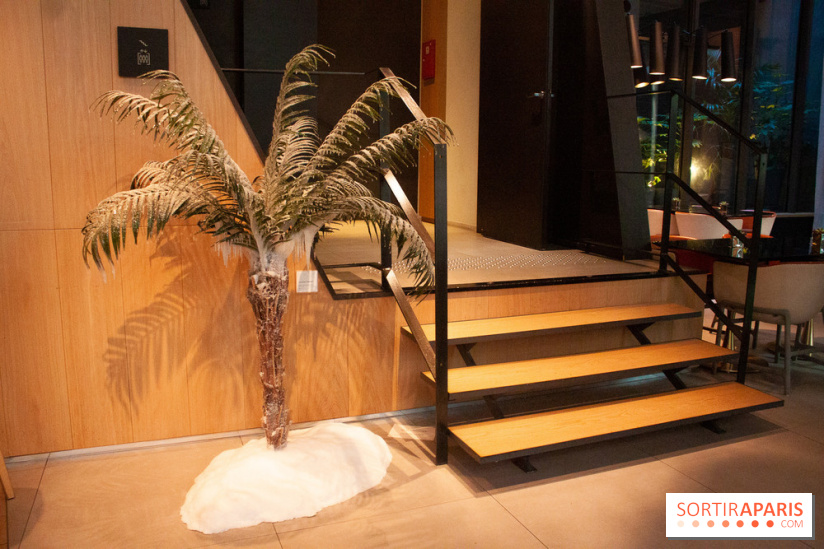 Reality Check au Cinq Codet