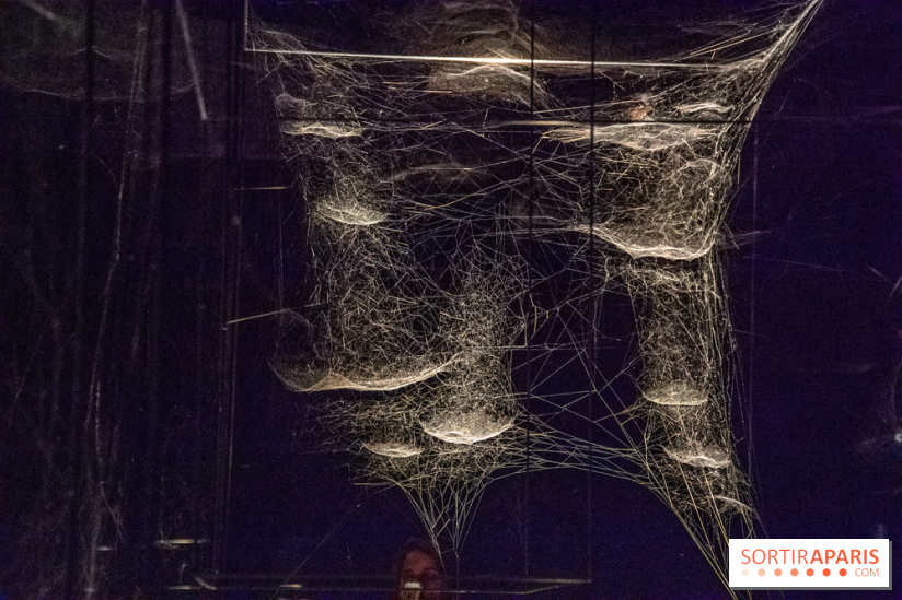 Carte Blanche à Tomas Saraceno au Palais de Tokyo