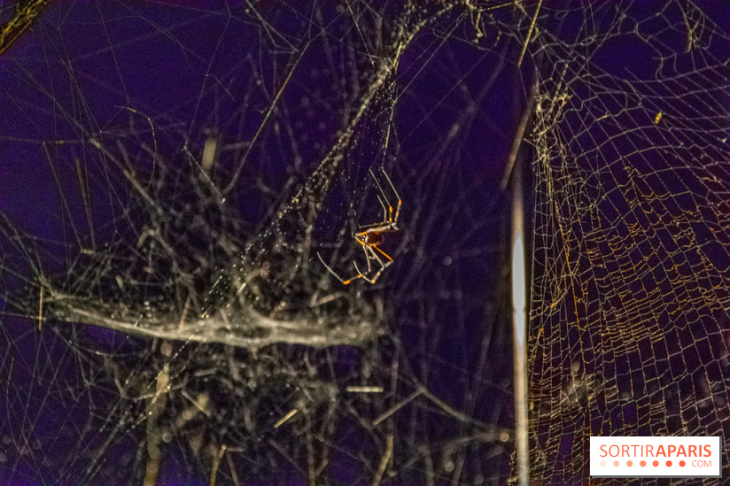 Carte Blanche à Tomas Saraceno au Palais de Tokyo