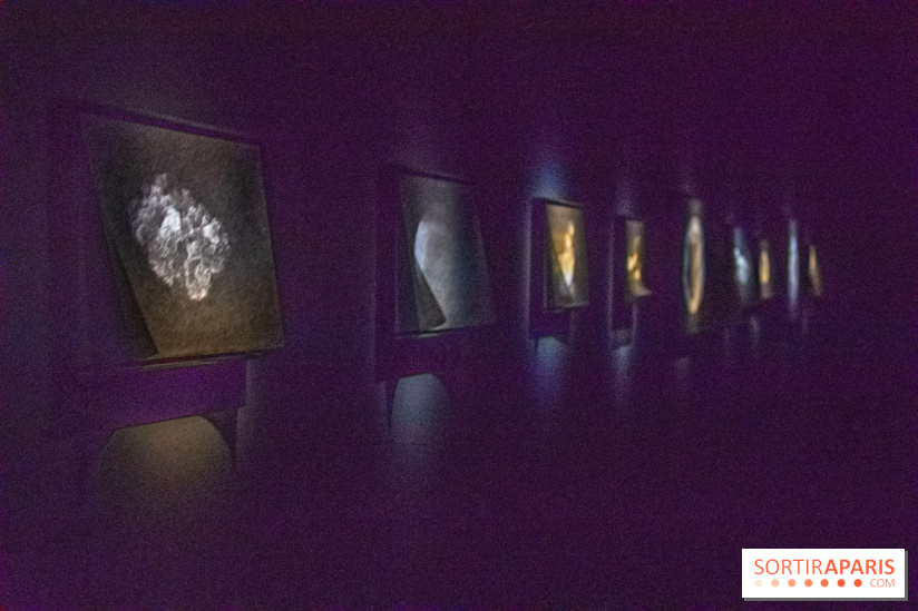 Carte Blanche à Tomas Saraceno au Palais de Tokyo