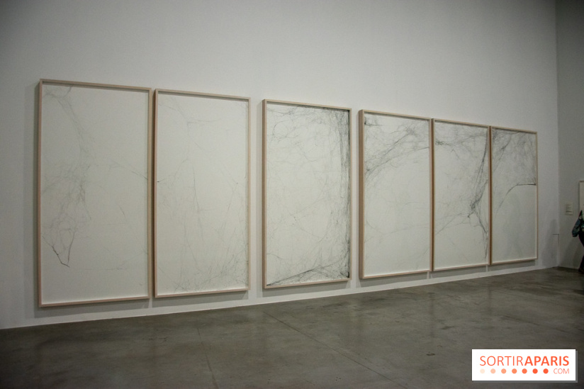 Carte Blanche à Tomas Saraceno au Palais de Tokyo