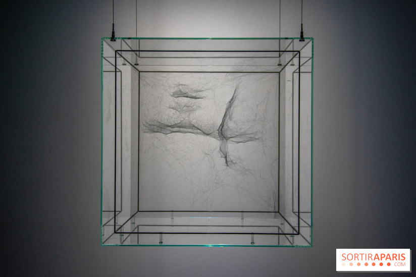 Carte Blanche à Tomas Saraceno au Palais de Tokyo