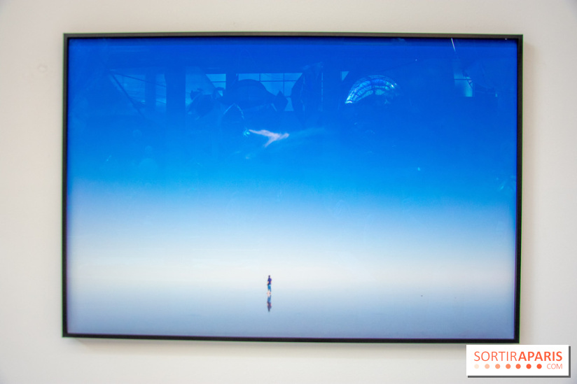 Carte Blanche à Tomas Saraceno au Palais de Tokyo