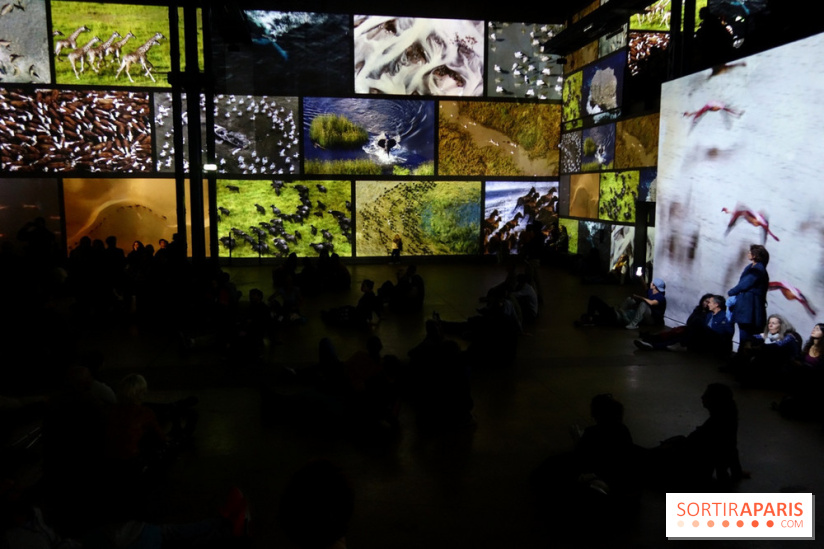 Terra Magnifica à L'Atelier des Lumières