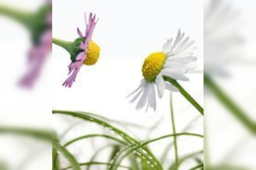 Naturally revient à la Porte de Versailles