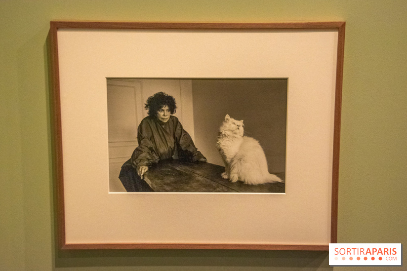 Expo Martine Franck à la Fondation Cartier-Bresson