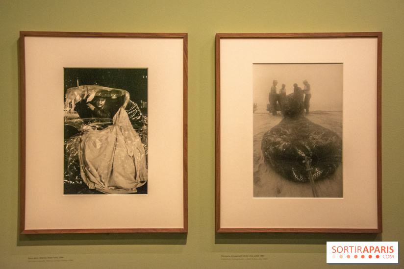Expo Martine Franck à la Fondation Cartier-Bresson