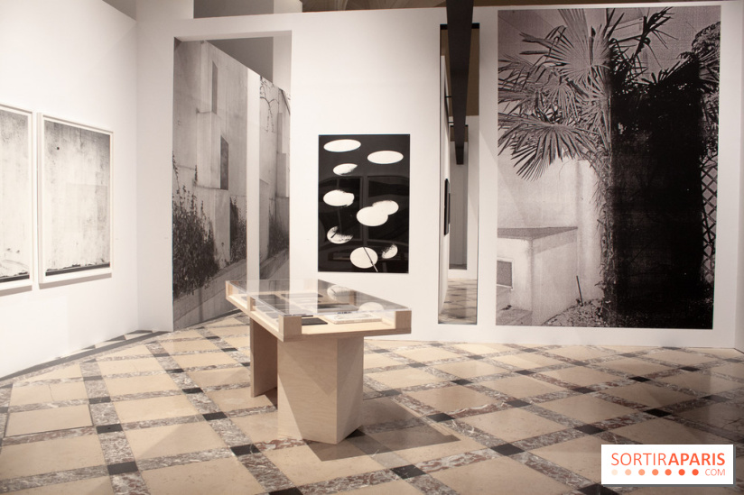 Photographier Paris à l'Hôtel de Ville