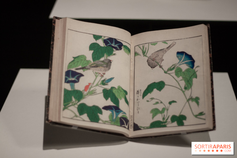 Japon-Japonismes au Musée des Arts Décoratifs