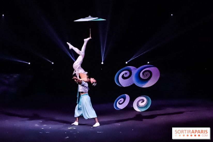 Le Roi des Singes au Cirque Phénix