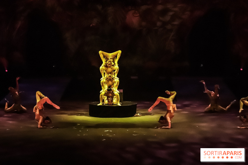 Le Roi des Singes au Cirque Phénix