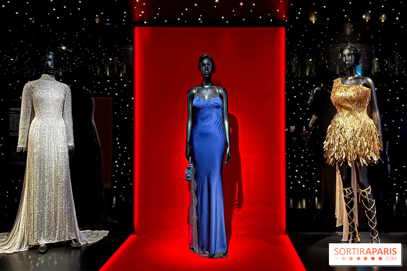 JO de Paris 2024 : les tenues de scène de Lady Gaga, Aya Nakamura et Céline Dion exposées chez Dior