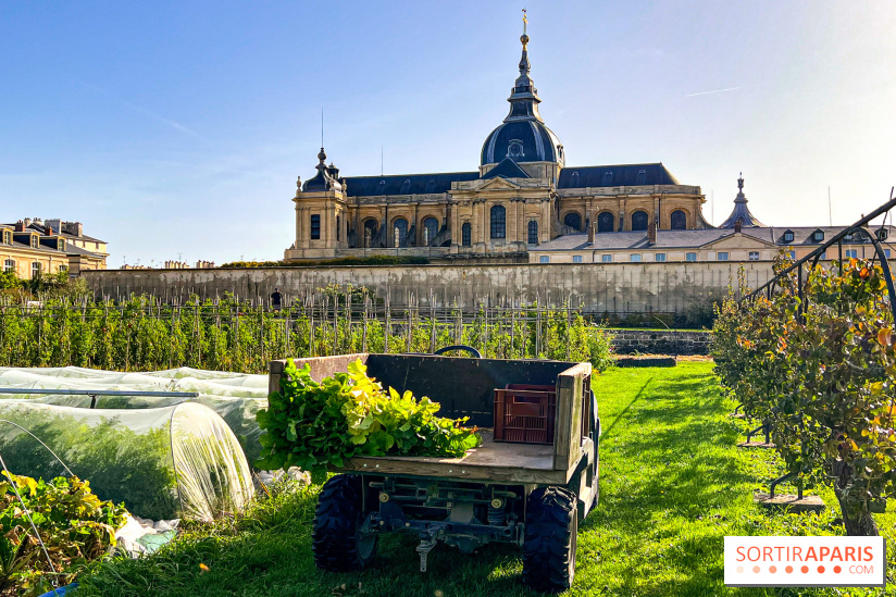 Les Saveurs du Potager du Roi à Versailles : marché de fruits & légumes, expositions et animations
