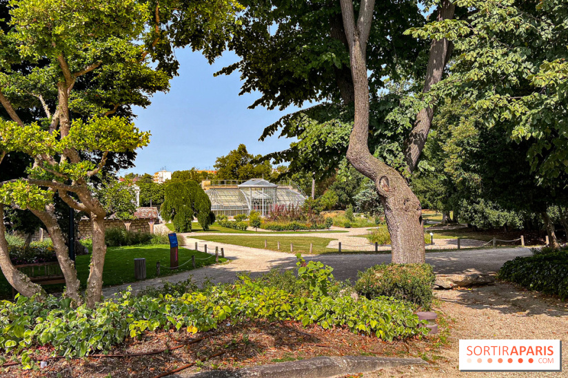 Color Run 2025 : course solidaire Conflans