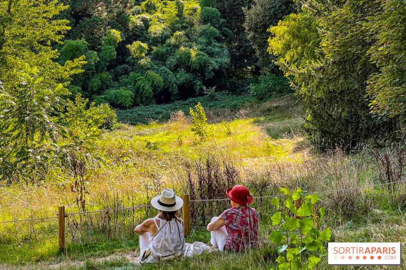 Parc de la Roseraie à Chatenay Malabry (92) : 8 hectares de verdure classés Monument Historique