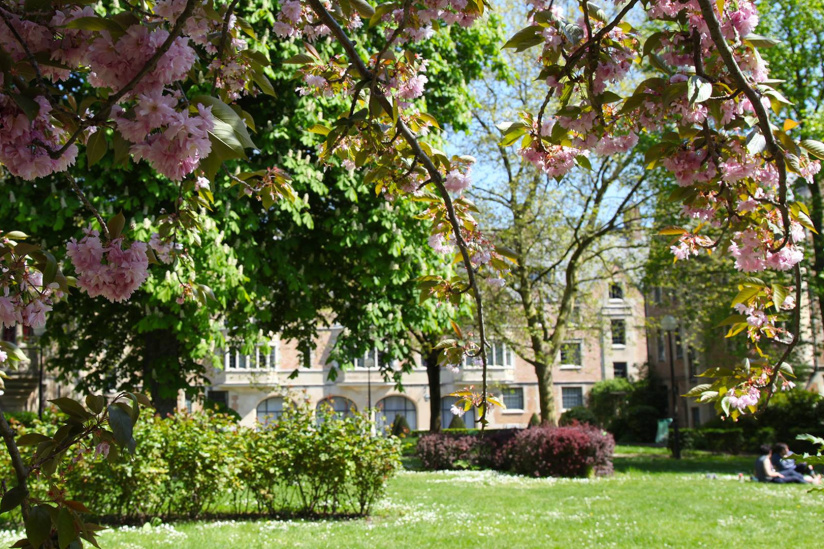 Festival "Jardins du monde en mouvement" à la Cité Universitaire