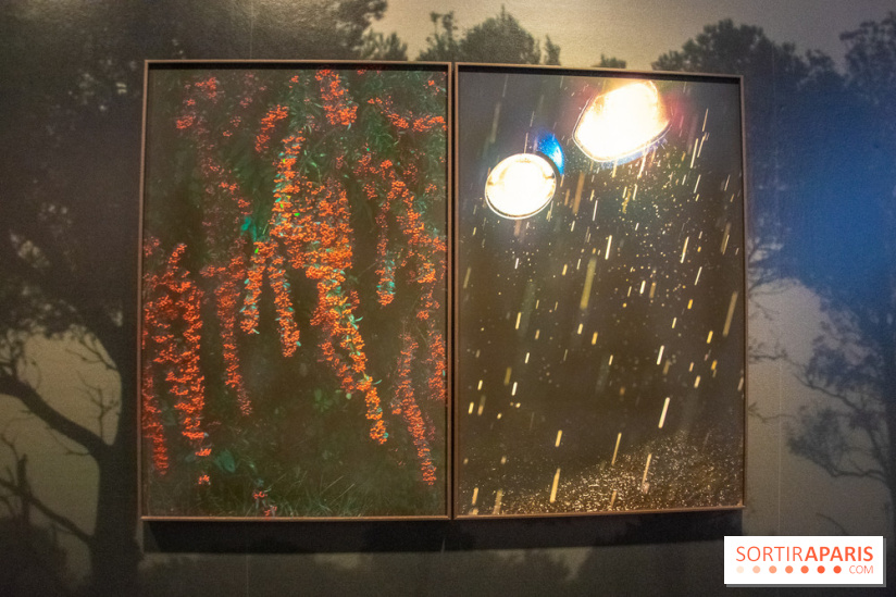 Hit The Road, l'exposition au Leica Store