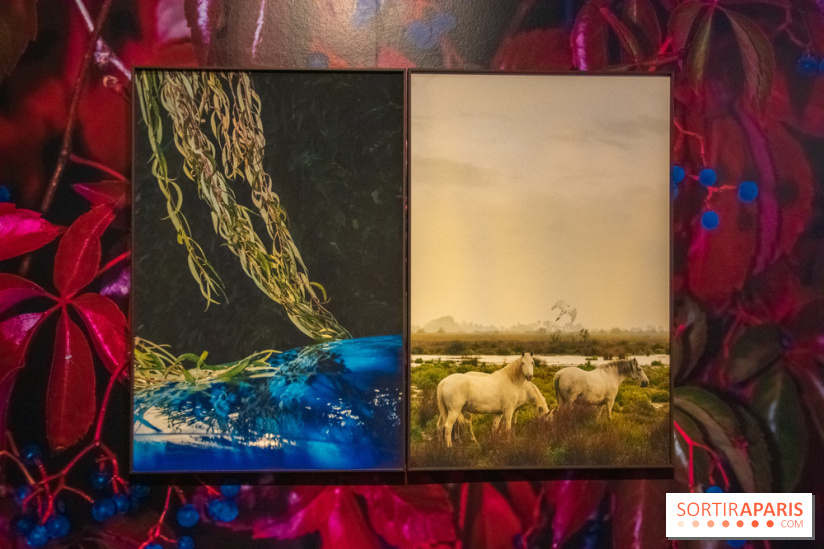 Hit The Road, l'exposition au Leica Store