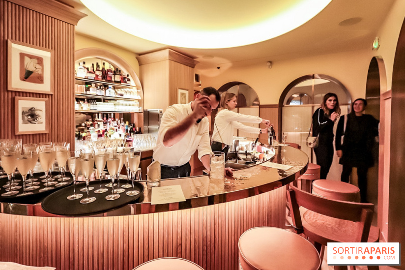 L'Hôtel 9Confidentiel by Starck, les photos