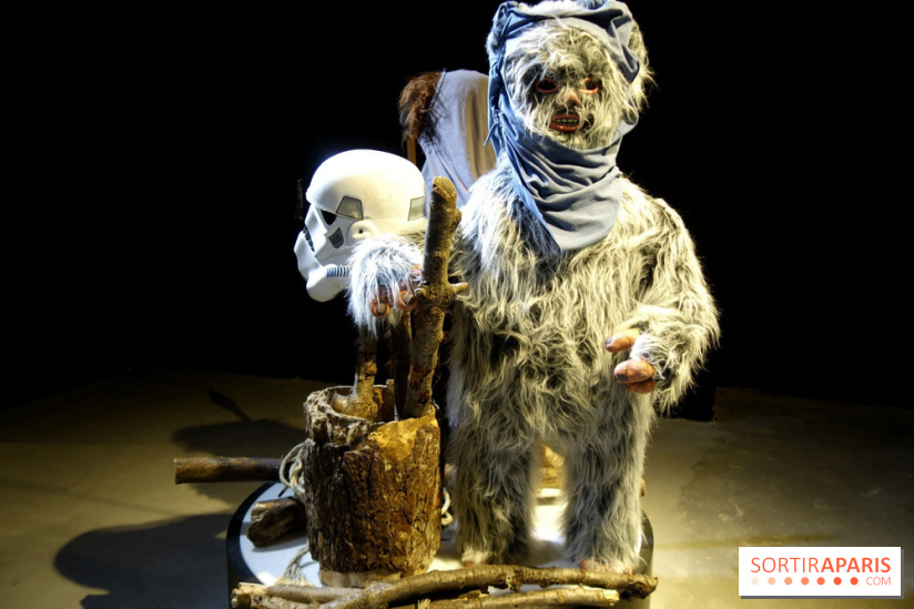 Album photos : Exposition Star Wars à Paris , Les fans contre attaquent