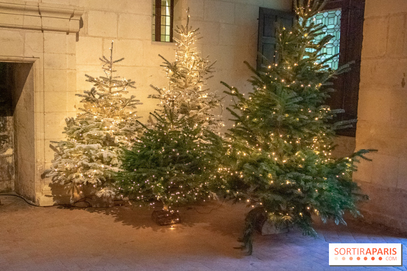 Noël 2018 au Château de Chambord