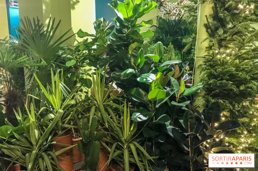 Bergamotte, le lieu de vie dédié au végétal