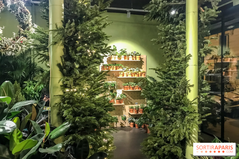 Bergamotte, le lieu de vie dédié au végétal