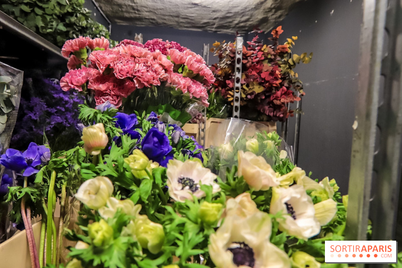 Bergamotte, le lieu de vie dédié au végétal