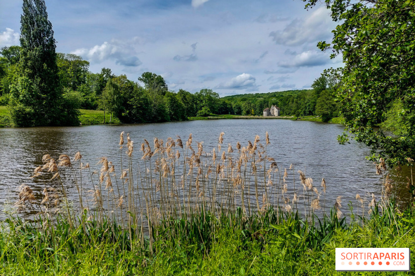 visuel Paris - île de France - nature - forêt