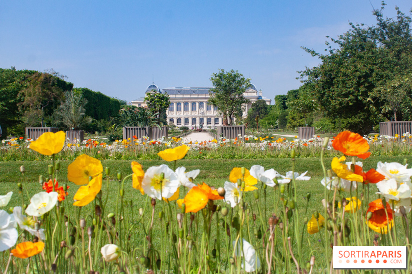 Visuel jardin des plantes Paris