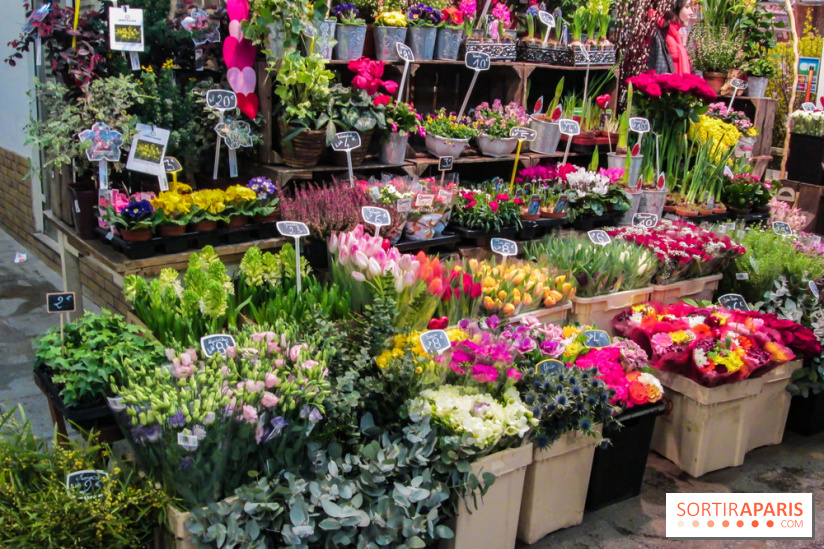 Visuel Paris marché d'Aligre fleurs