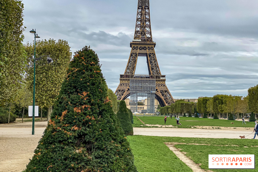 Visuel Paris Tour Eiffel