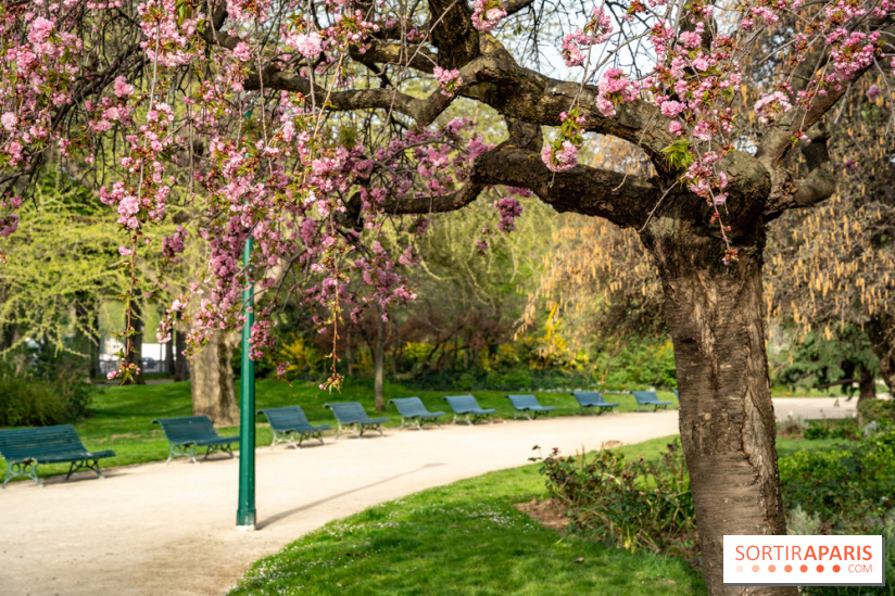 Visuel Paris arbres en fleurs, jardins, parc