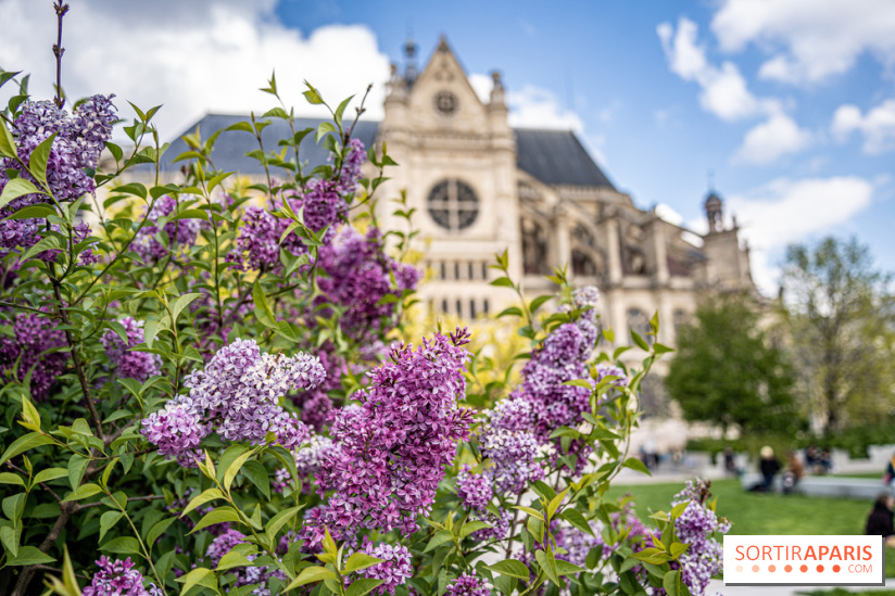 Visuel Paris Jardin Nelson Mandela Eglise Saint Eustache