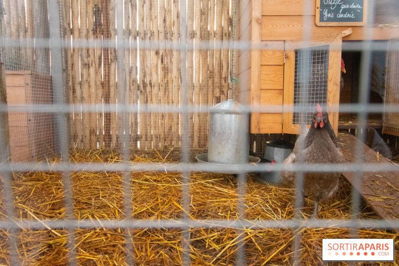 Brach Paris, l'hôtel signé Starck dans le 16e