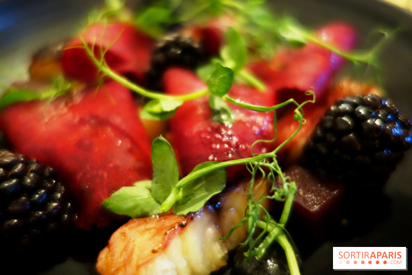 Raw Saint-Germain by Marie et William Pradeleix