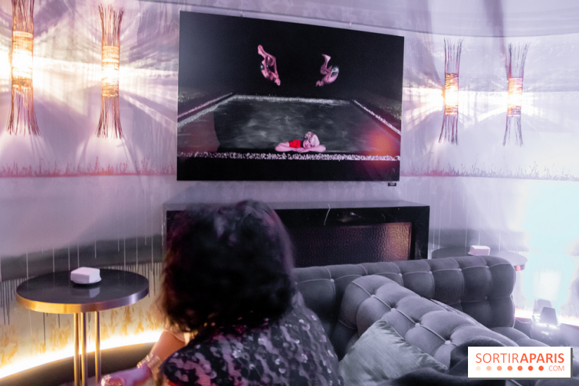 Plaisirs Évanouis, l'exposition au Nolinski