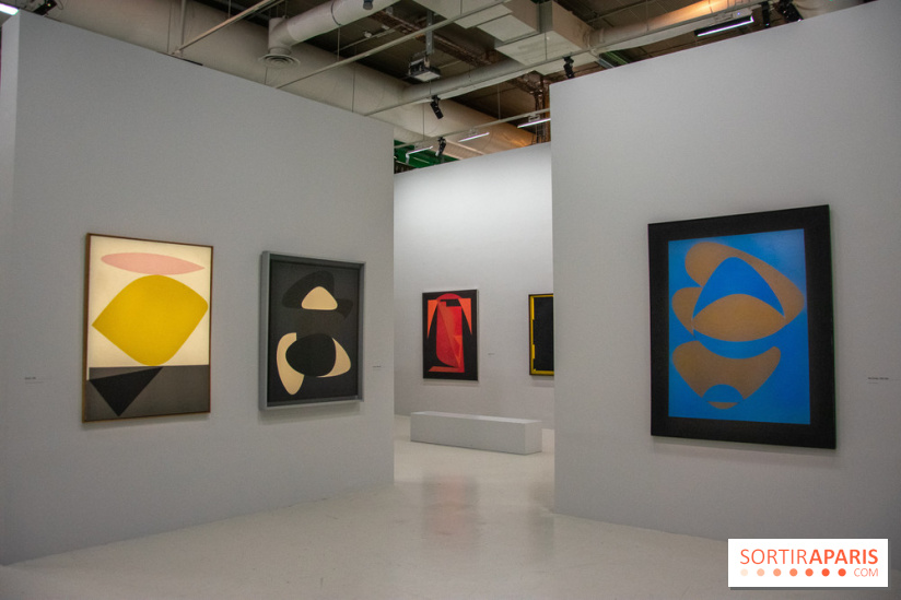 Exposition Vasarely Centre Pompidou, nos photos