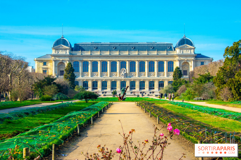 Mille et une Orchidées 2019 au Jardin des Plantes, les photos