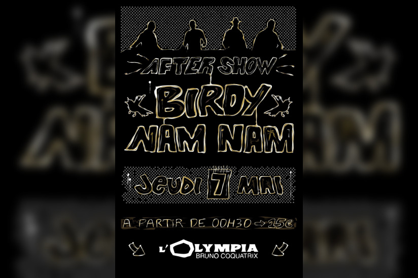 Soirée, Paris,Toxic, After Show, Birdy Nam Nam, BNN