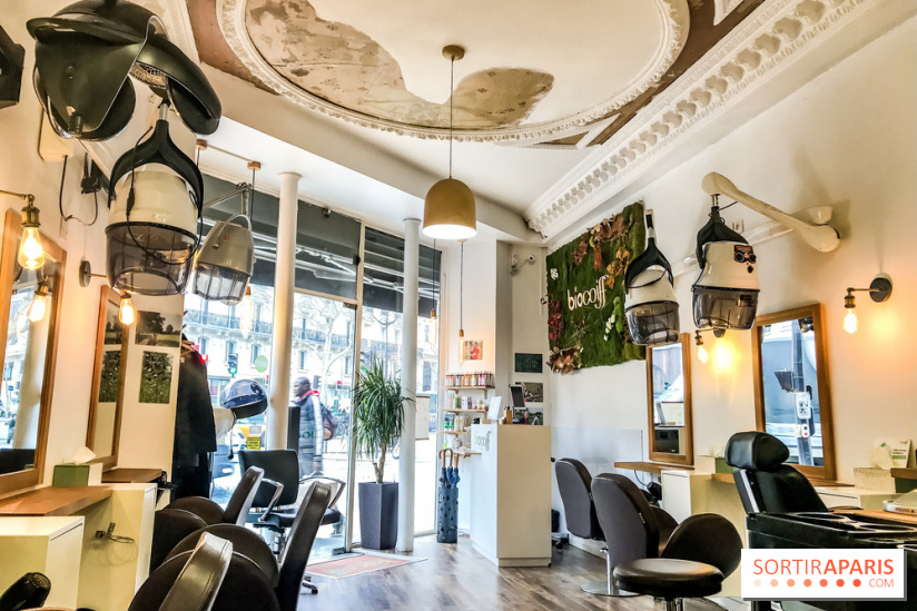 La coloration végétale chez Biocoiff'