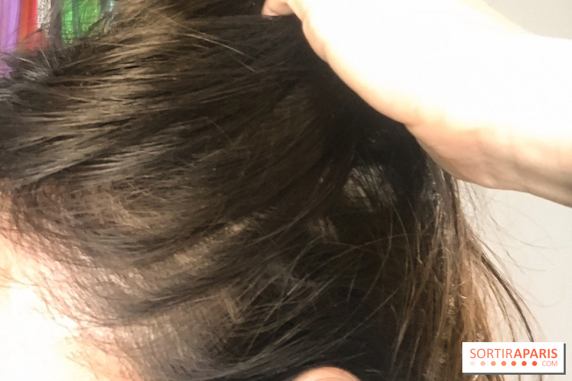 La coloration végétale chez Biocoiff'